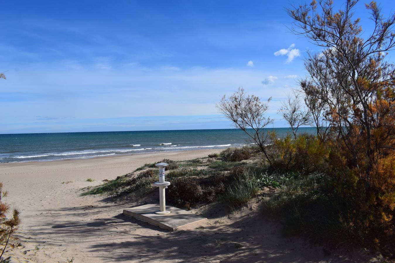 Vakantieappartement met zwembad en hond toegestaan in Oliva, Costa Blanca, Spanje voor 4 personen foto 21