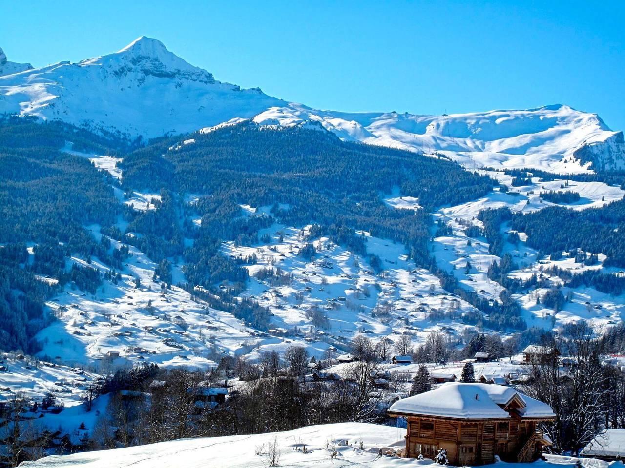 Vakantieappartement in Grindelwald, Zwitserland voor 2 personen foto 15