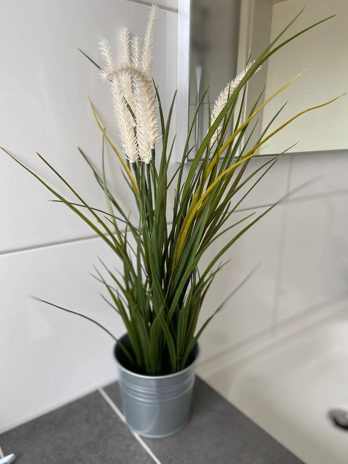 Vakantiehuis "Wacholderhain" dicht bij het meer met tuin in Haselünne, Hasetal, Duitsland voor 6 personen foto 22