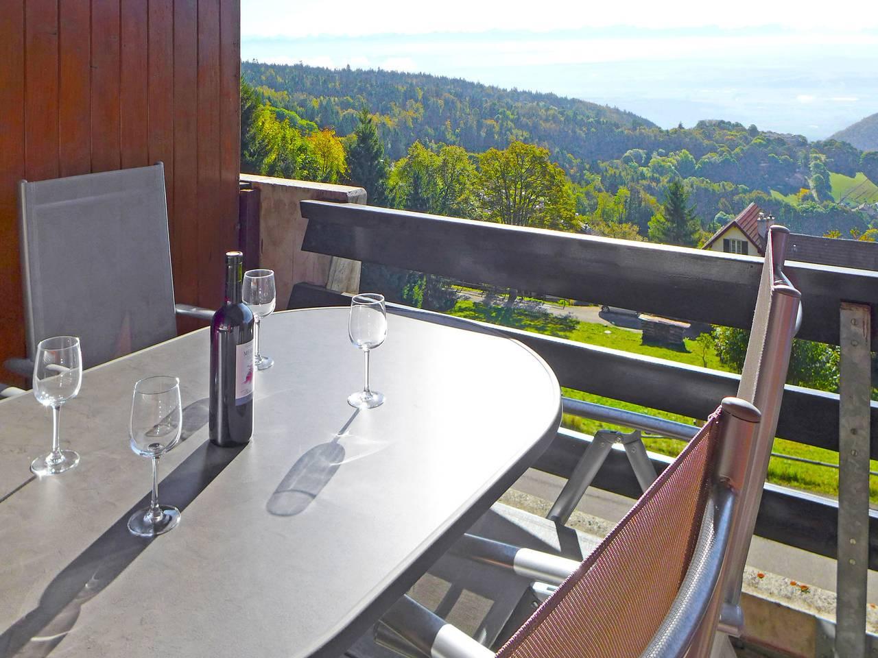 Vakantieappartement in Three-Lakes, Zwitserland voor 3 personen foto 5