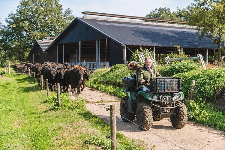 Stijlvolle boerderij-ontsnapping in Wierden, Twente, Nederland voor 4 personen foto 20