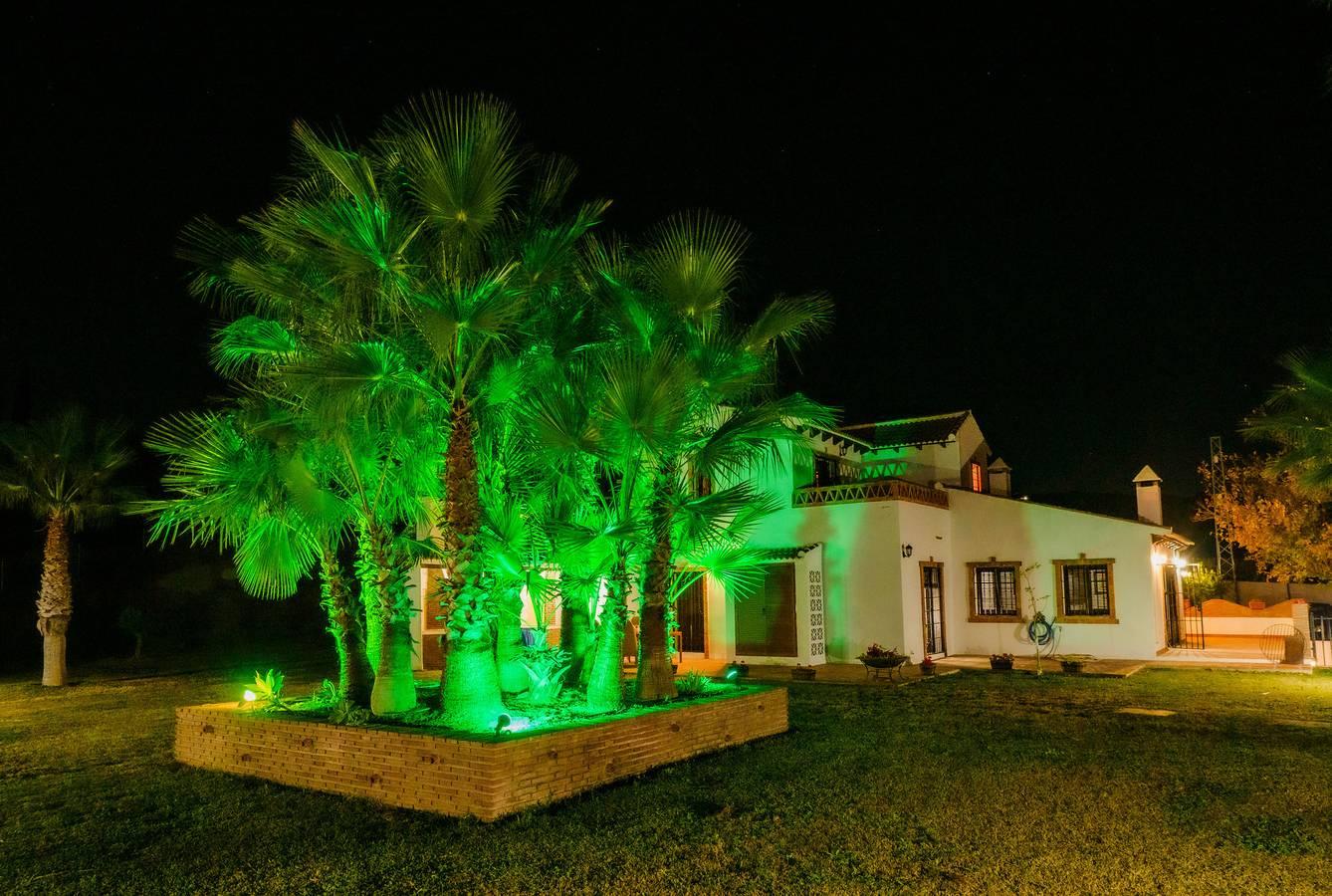 Cubo's Finca La Deseada in Alhaurín el Grande, Cordillera Penibética, Spanje voor 10 personen foto 19