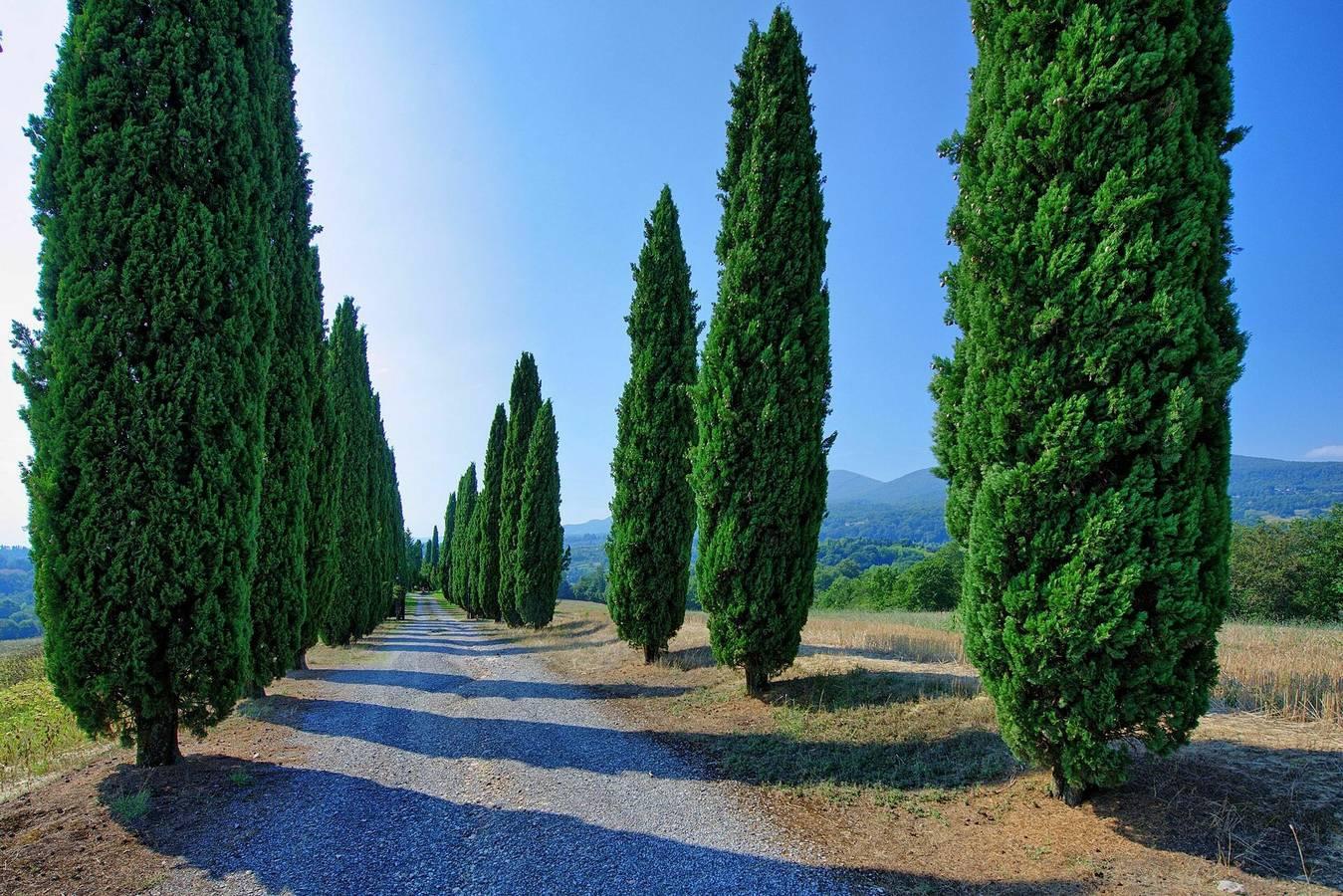Vakantiehuis in Tuscia, Italië voor 7 personen foto 15