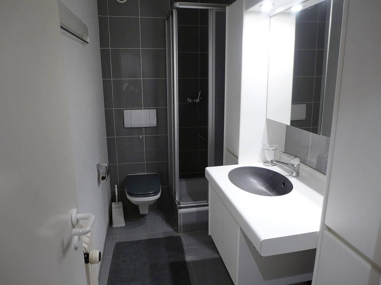 Vakantieappartement in Randogne, Zwitserland voor 5 personen foto 5