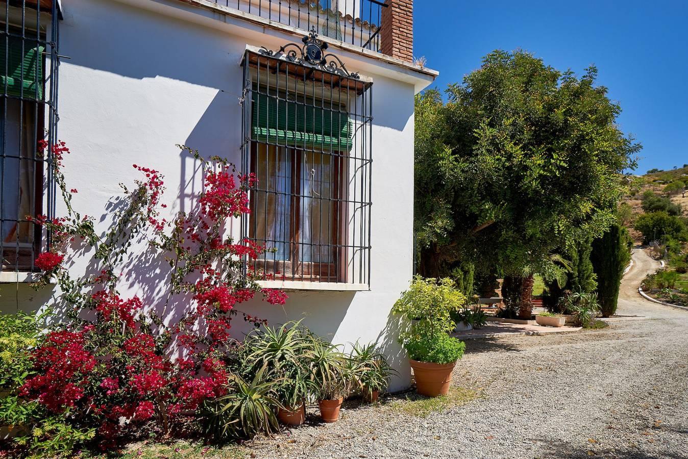 Vakantiehuis in Malaga, Spanje voor 14 personen foto 7