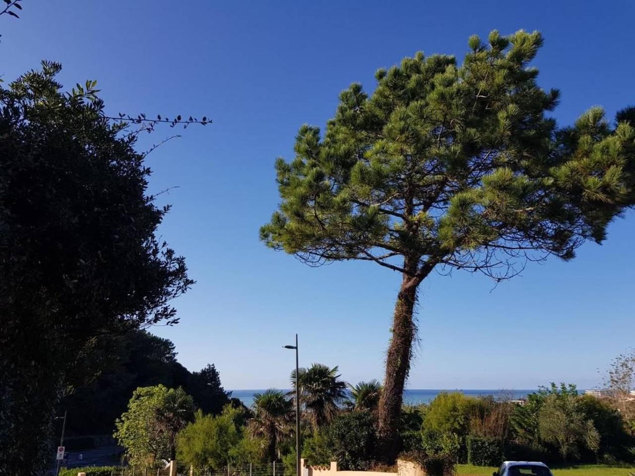 Huisdiervriendelijk Baskisch verblijf in Biarritz, Frankrijk voor 8 personen foto 21
