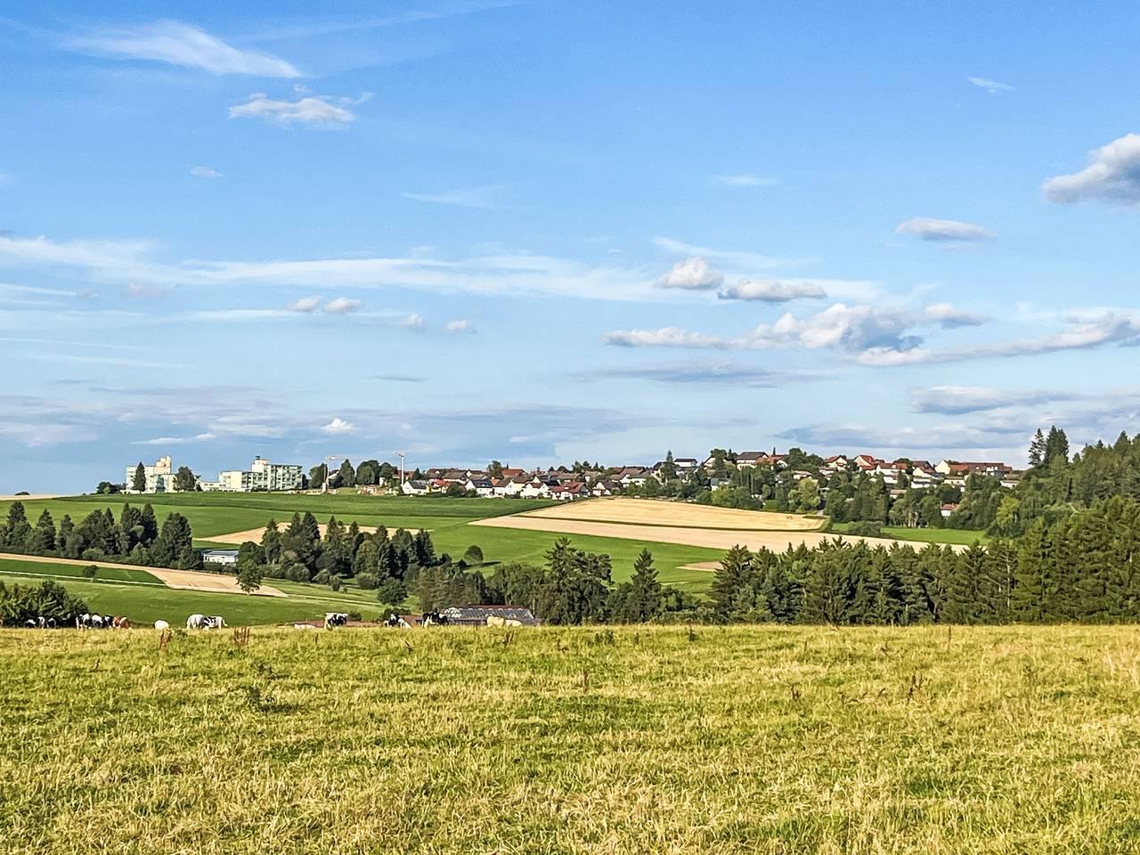 Vakantiehuis met hond toegestaan en airconditioning in Dittishausen (Löffingen), Löffingen, Duitsland voor 4 personen foto 6