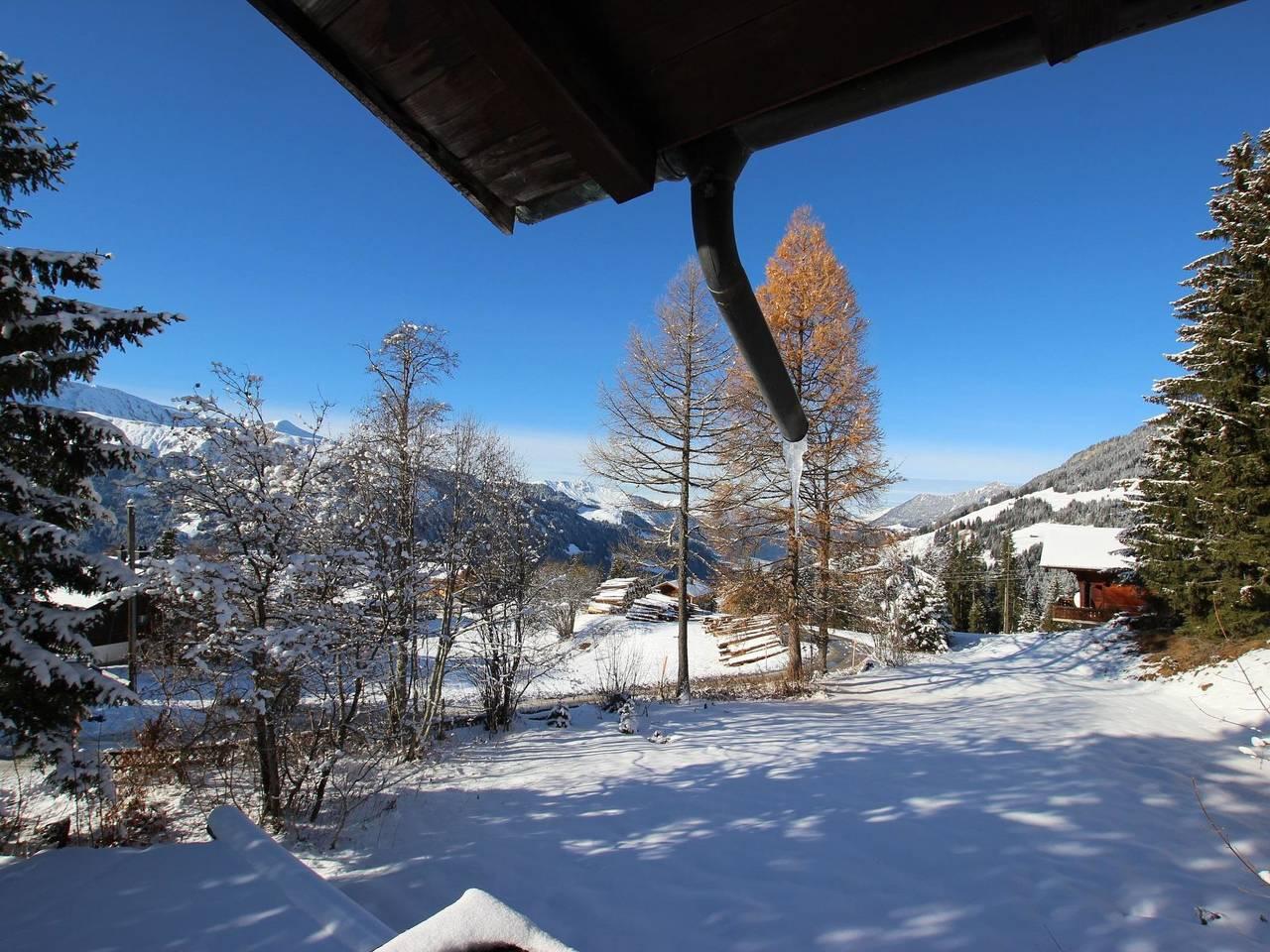 Vakantieappartement in Lenk, Zwitserland voor 10 personen foto 10