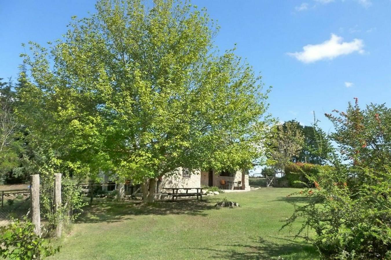 Vakantiehuis in Tuscia, Italië voor 7 personen foto 5