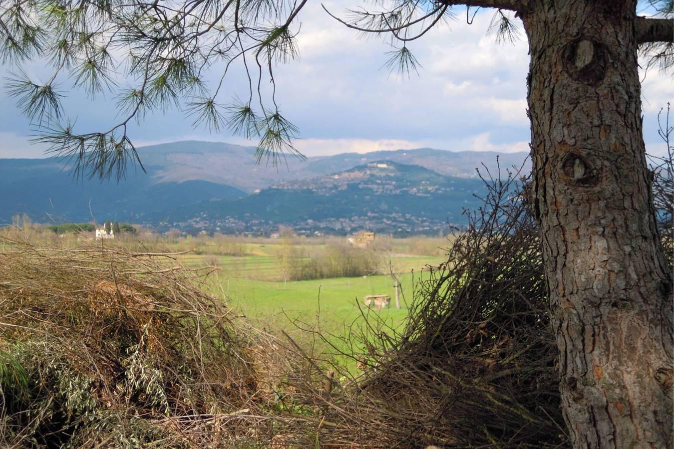 Vakantieappartement in Val di Chiana, Italië voor 6 personen foto 13