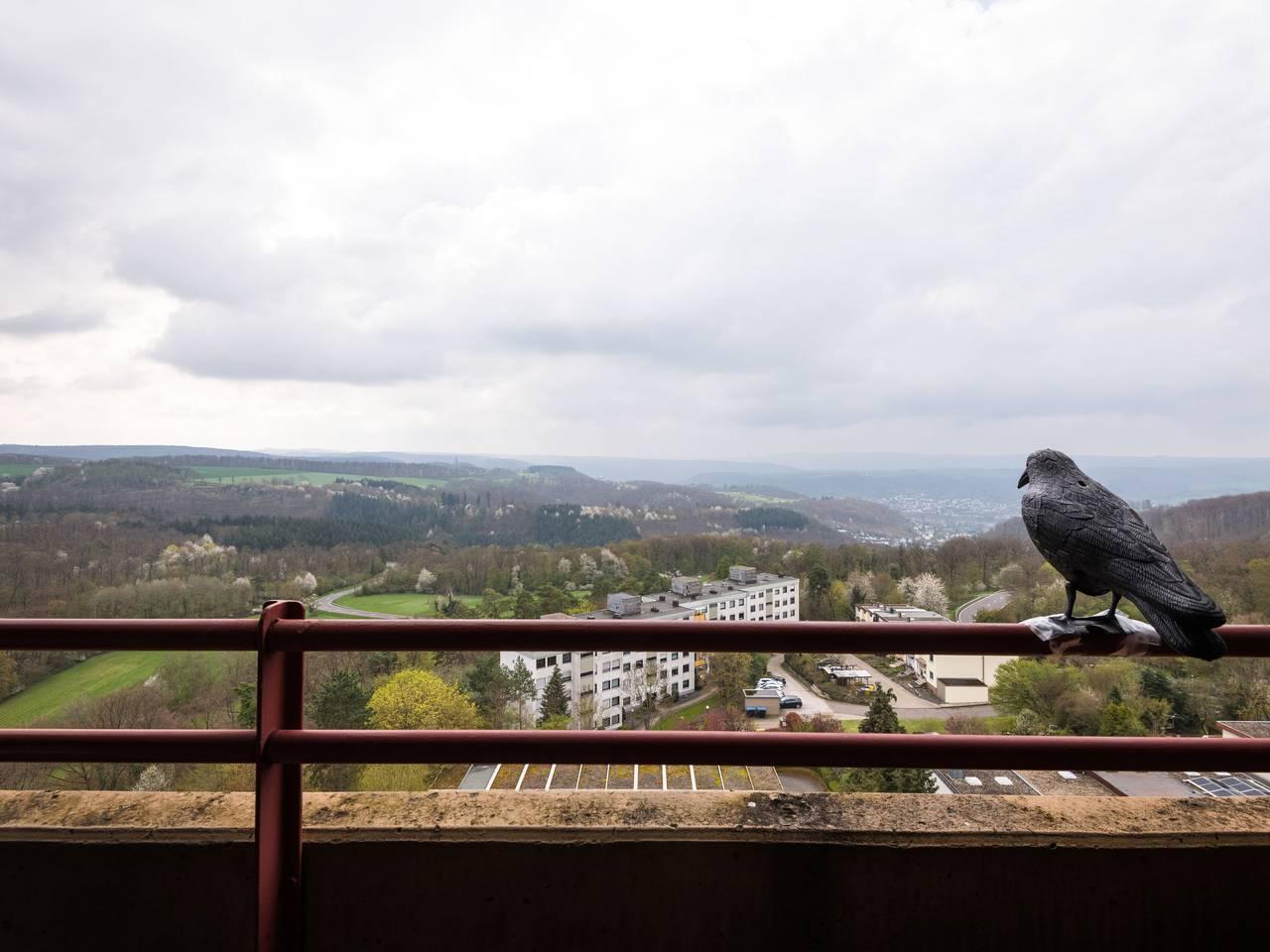 Burgblick in Lahnstein, Mittelrhein, Duitsland voor 2 personen foto 20