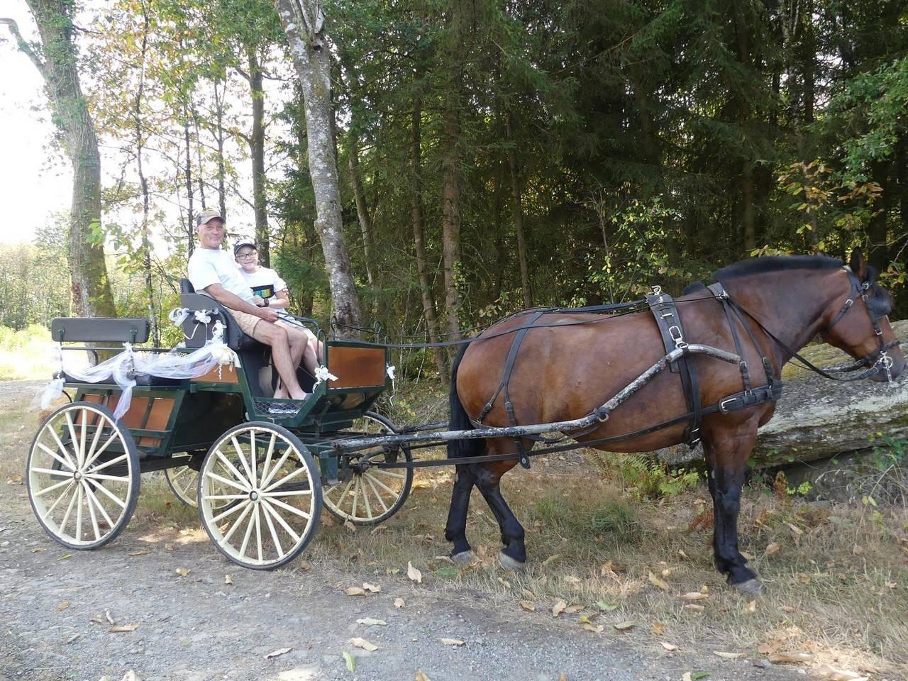 Vakantiehuis in Dordogne, Frankrijk voor 2 personen foto 15