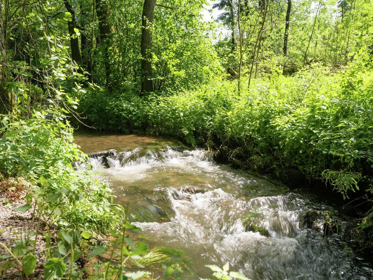 Natuurretraite in Waimes in Weismes, Natuurgebied Hautes Fagnes, België voor 9 personen foto 19