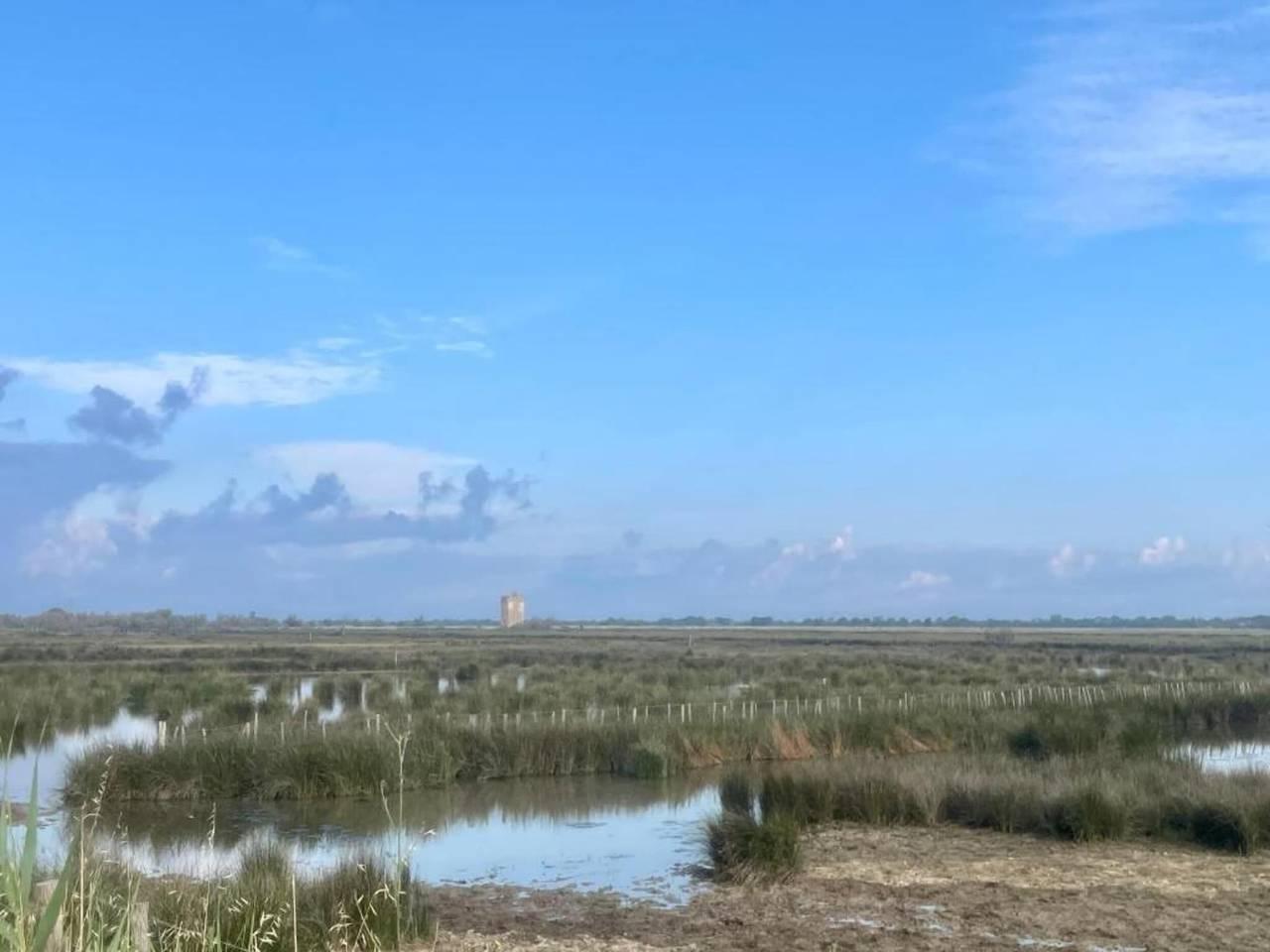 Maisonette in Aigues-Mortes bij Flamingo's in Aigues-Mortes, Côte d'Améthyste, Frankrijk voor 4 personen foto 19