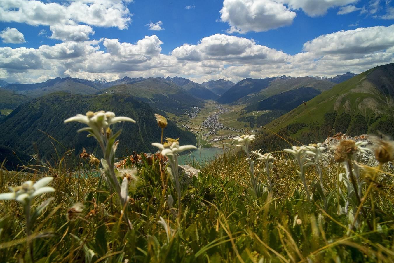 Vakantieappartement in Livigno, Italië voor 4 personen foto 17