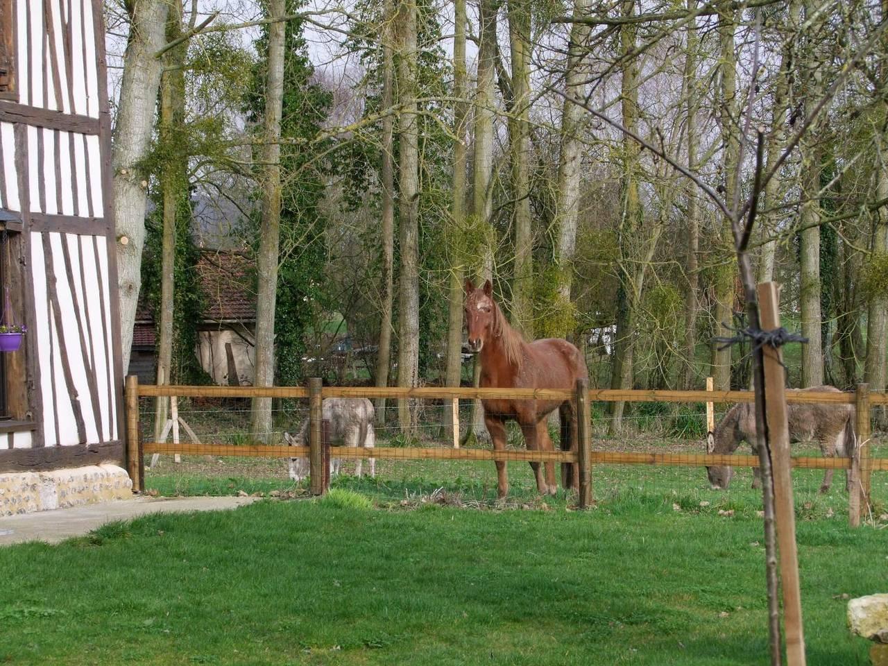 Vakantiehuis in Saint-Paër, Frankrijk voor 8 personen foto 10