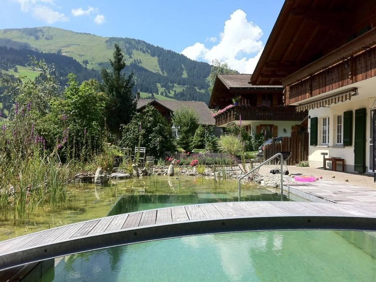 Vakantieappartement in St. Stefan, Zwitserland voor 4 personen foto 2