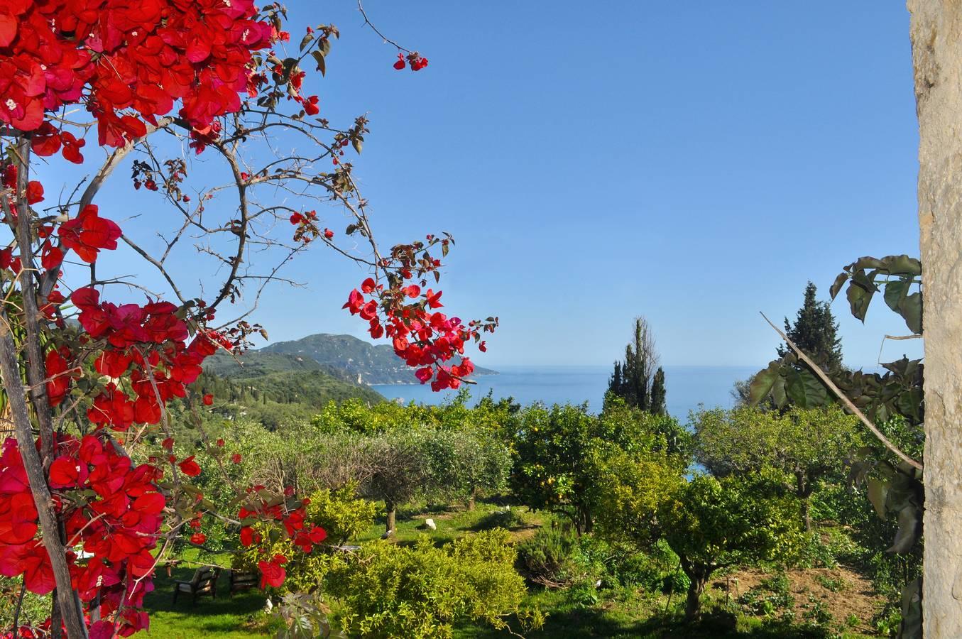 Vakantieappartement in Corfu, Griekenland voor 2 personen foto 10