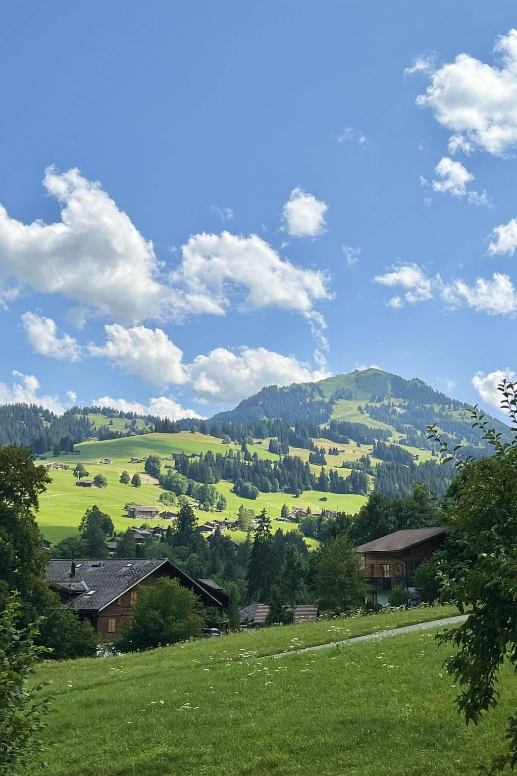 Vakantieappartement in Zweisimmen, Zwitserland voor 8 personen foto 14