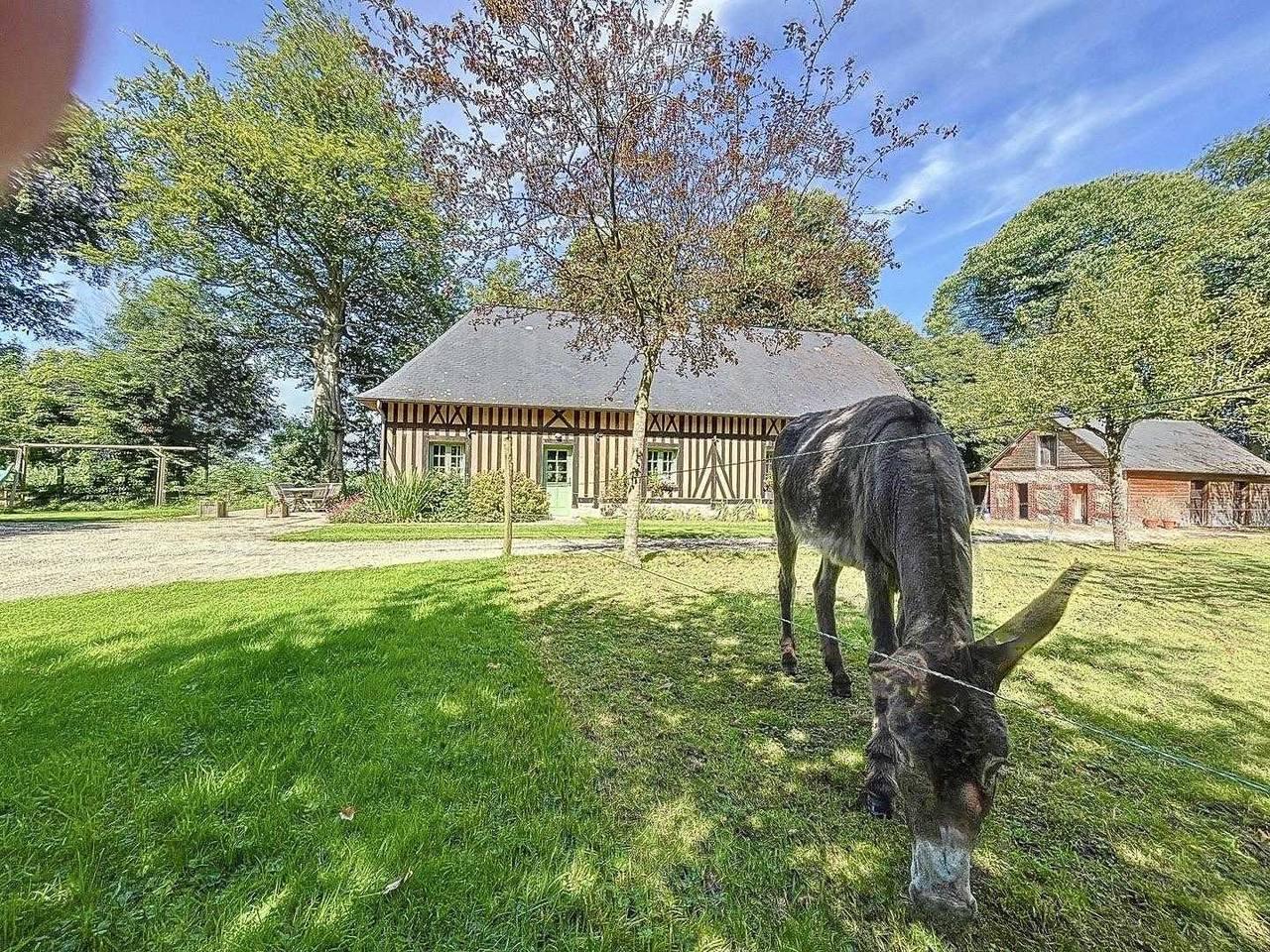 Vakantiehuis in Seine-Maritime vanaf 115€ per nacht