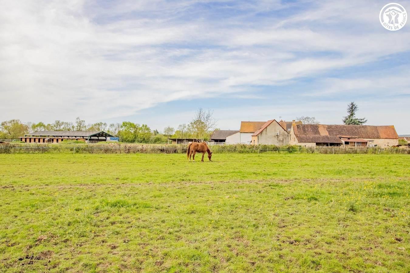 Vakantiehuis in Bourgondië, Frankrijk voor 4 personen foto 3