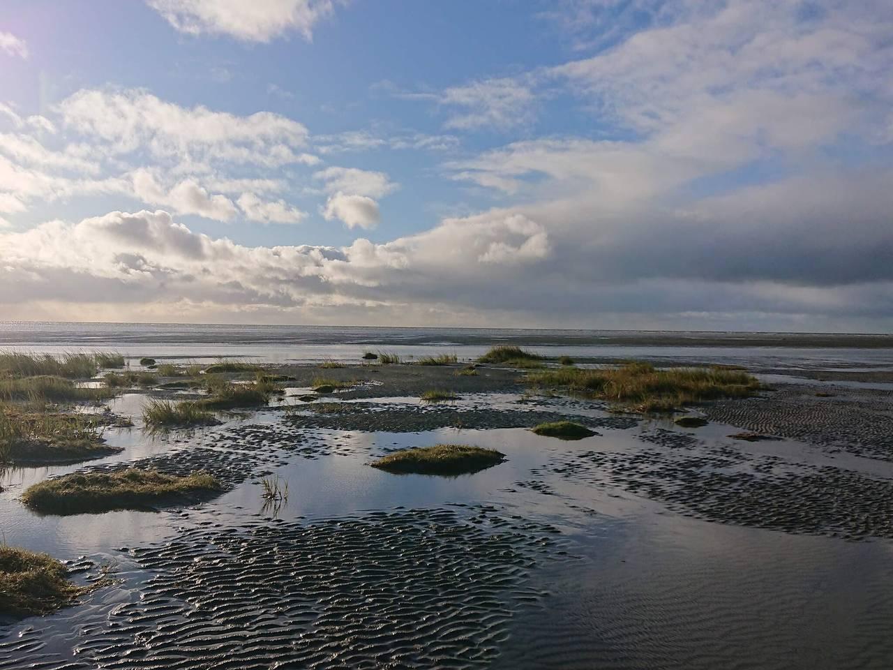 Vakantiehuis in Fanø, Denemarken voor 4 personen foto 18