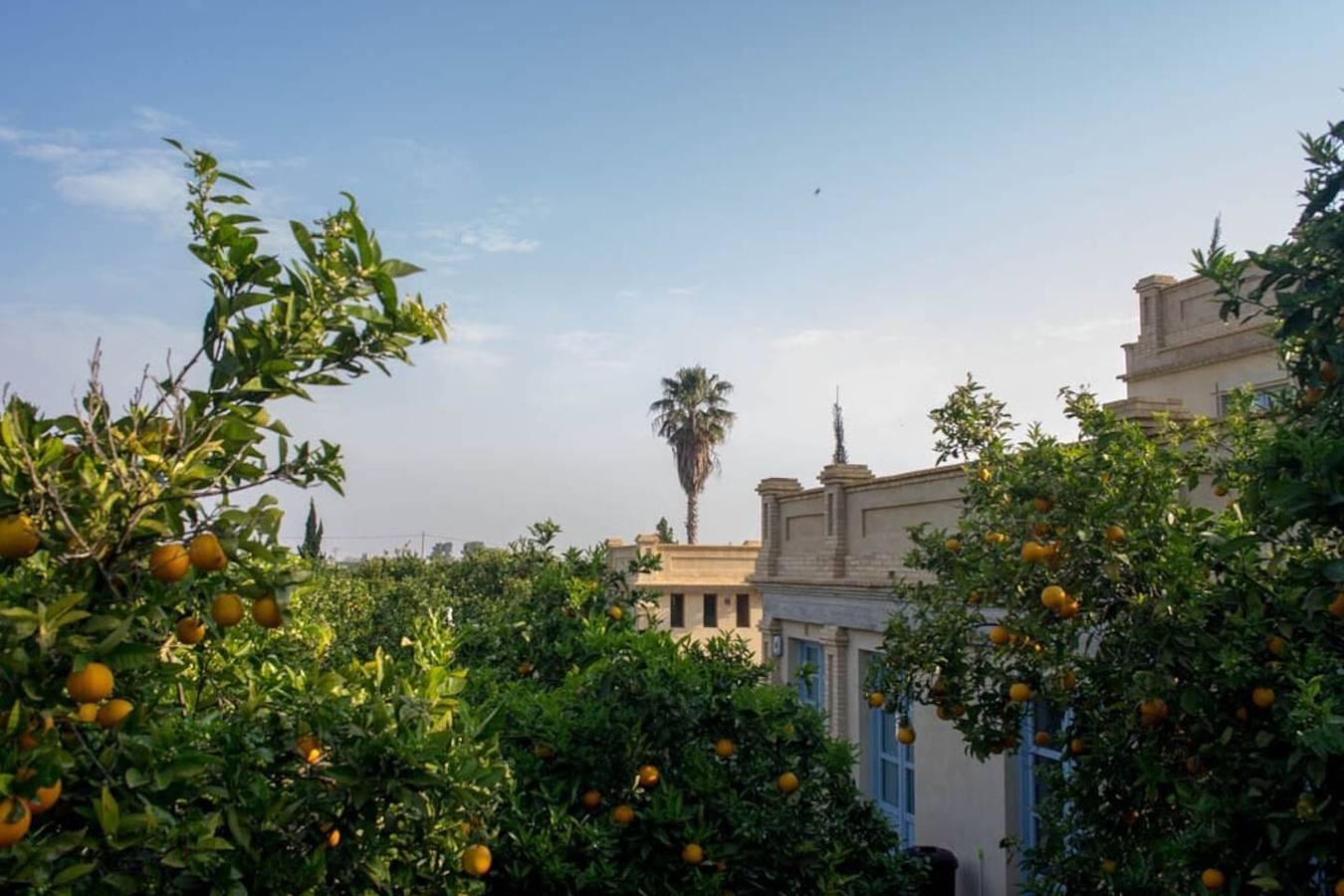 Villa "Luz Casa Valenciana Siglo Xix" met uitzicht op de bergen in Alzira, Valencia Provincie, Spanje voor 7 personen foto 24
