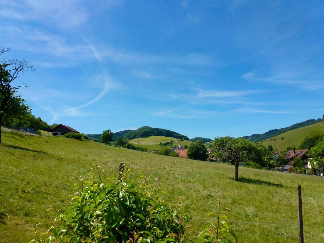 Pension Himmelsbach in Steinach, Central Black Forest, Duitsland voor 2 personen foto 21