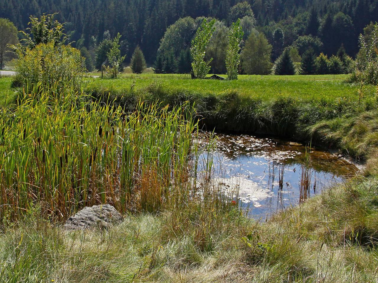 Carinthia in Velden am Wörther See, Villach-Land, Oostenrijk voor 10 personen foto 21