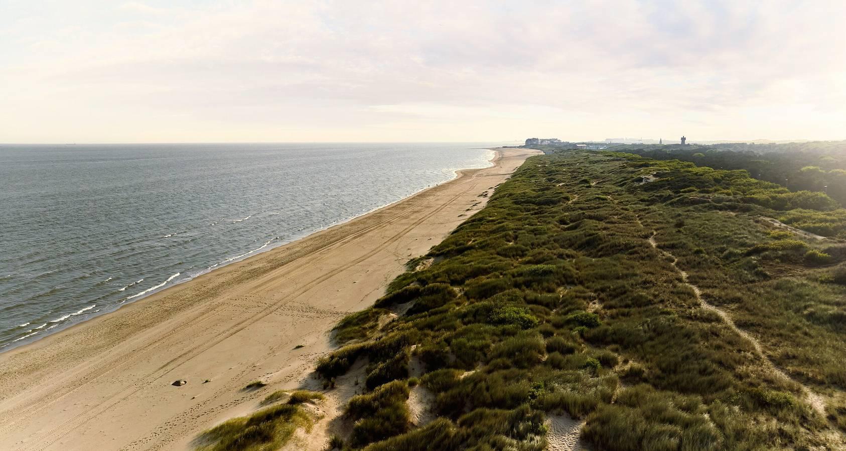 Vakantiehuis met sauna en zwembad in De Haan, België voor 12 personen foto 24