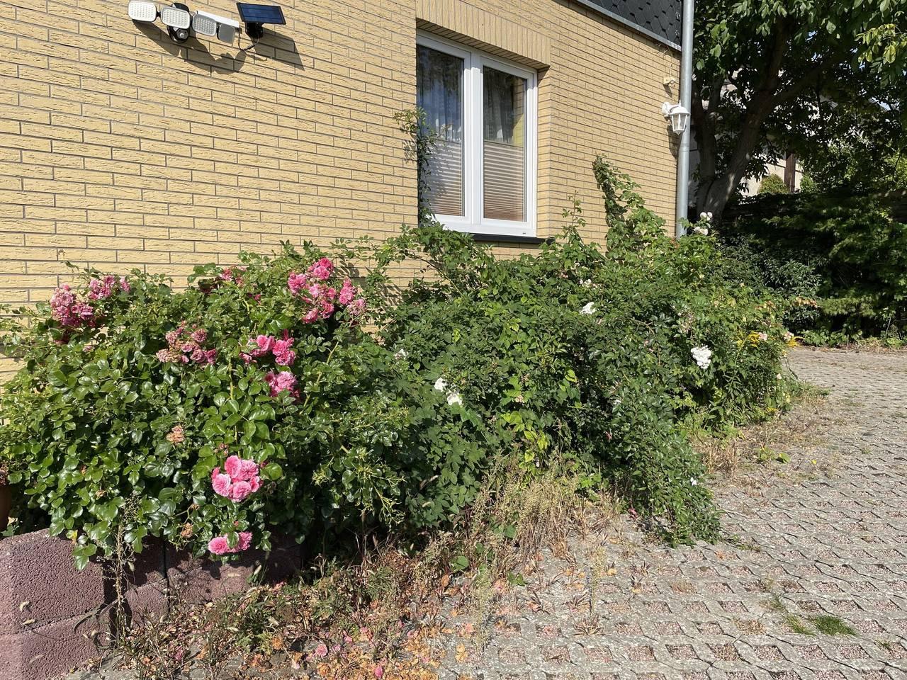 Vakantieappartement in Mirow, Duitsland voor 2 personen foto 14