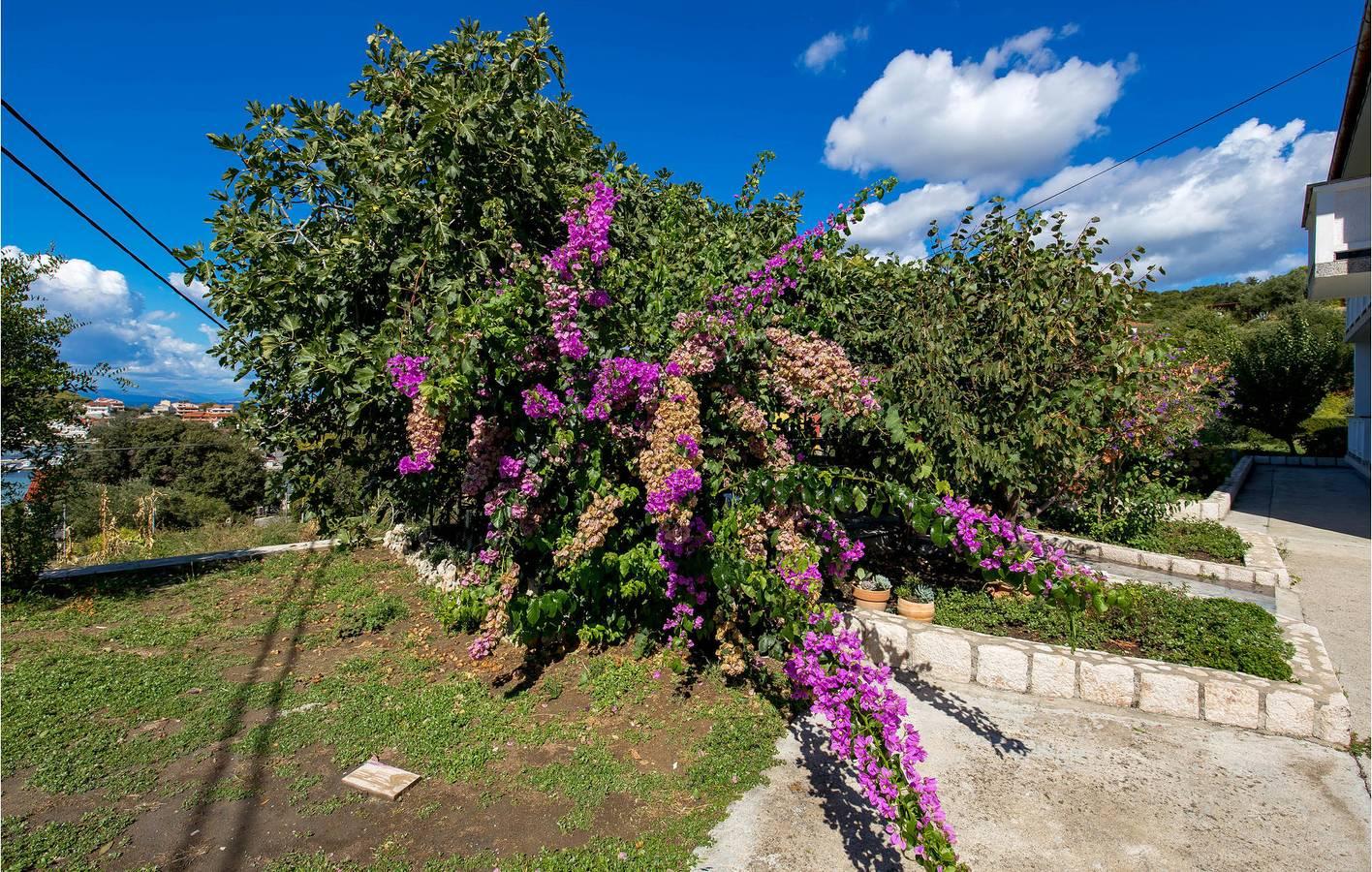 Vakantieappartement in Rab foto 17