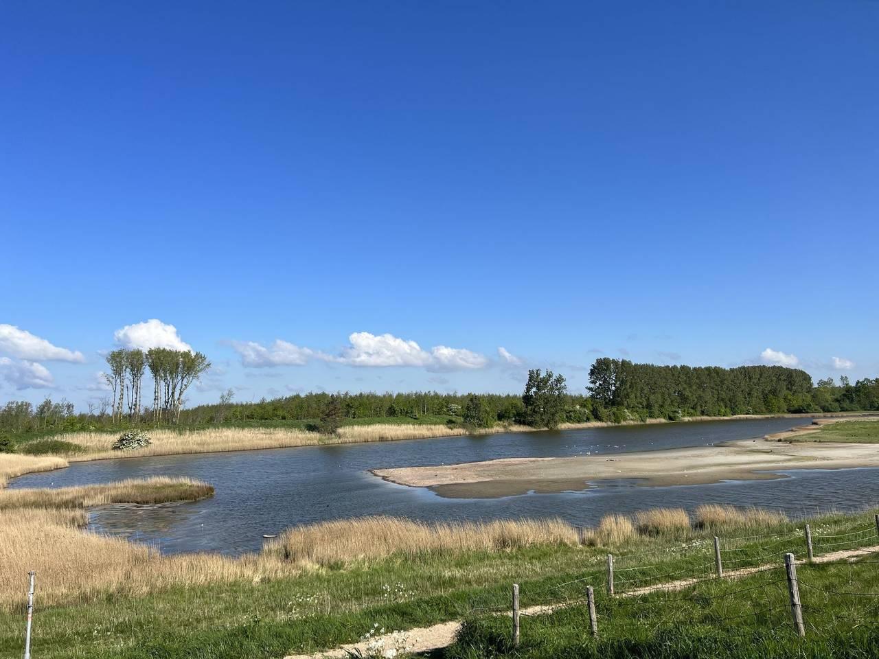Vakantiehuis in Scherpenisse foto 18