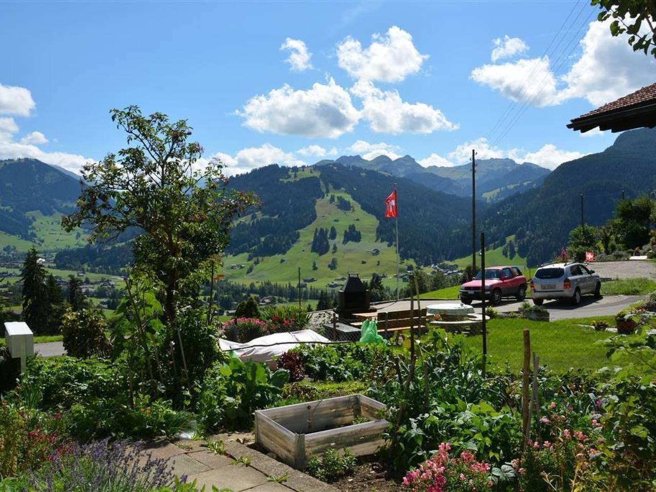 Vakantieappartement in Saanen, Zwitserland voor 5 personen foto 3