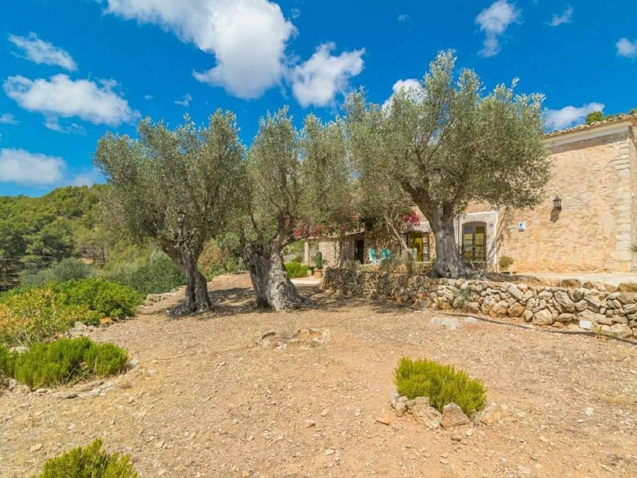 Vakantiehuis in Andratx, Spanje voor 4 personen foto 14
