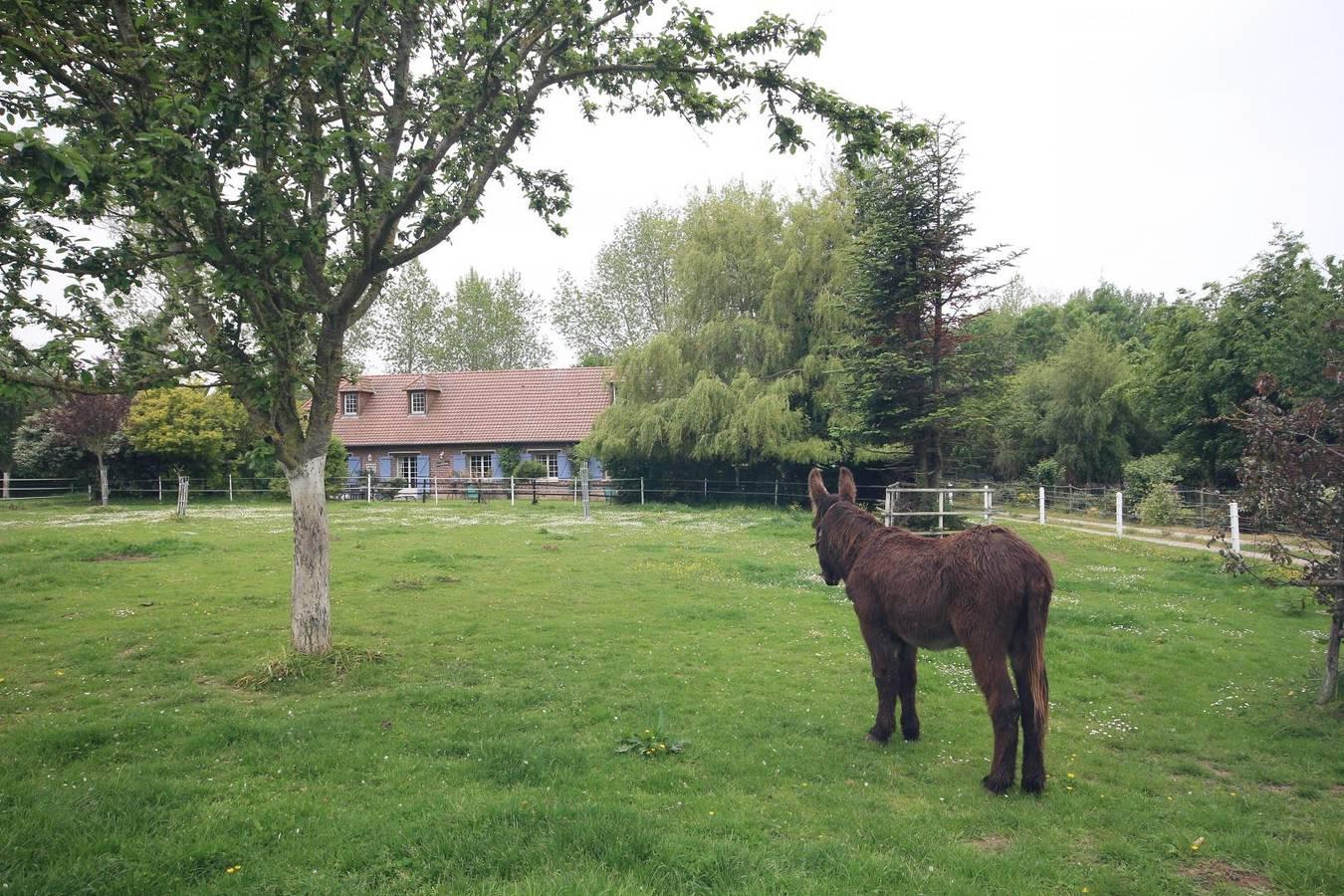Gîtes de France® - La Charetterie in Paluel, Frankrijk voor 6 personen foto 20