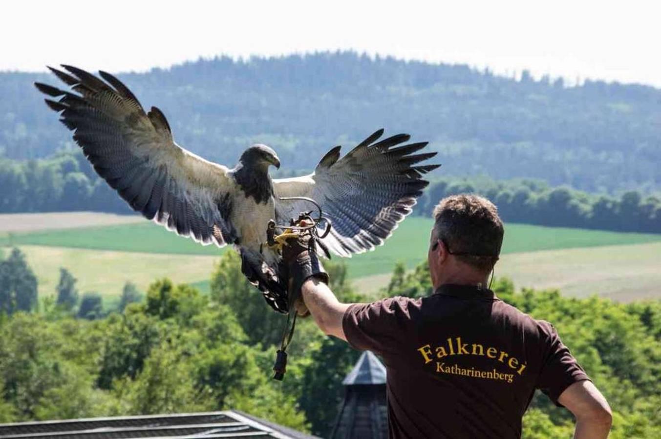 Vakantiehuis in Franken, Duitsland voor 5 personen foto 9