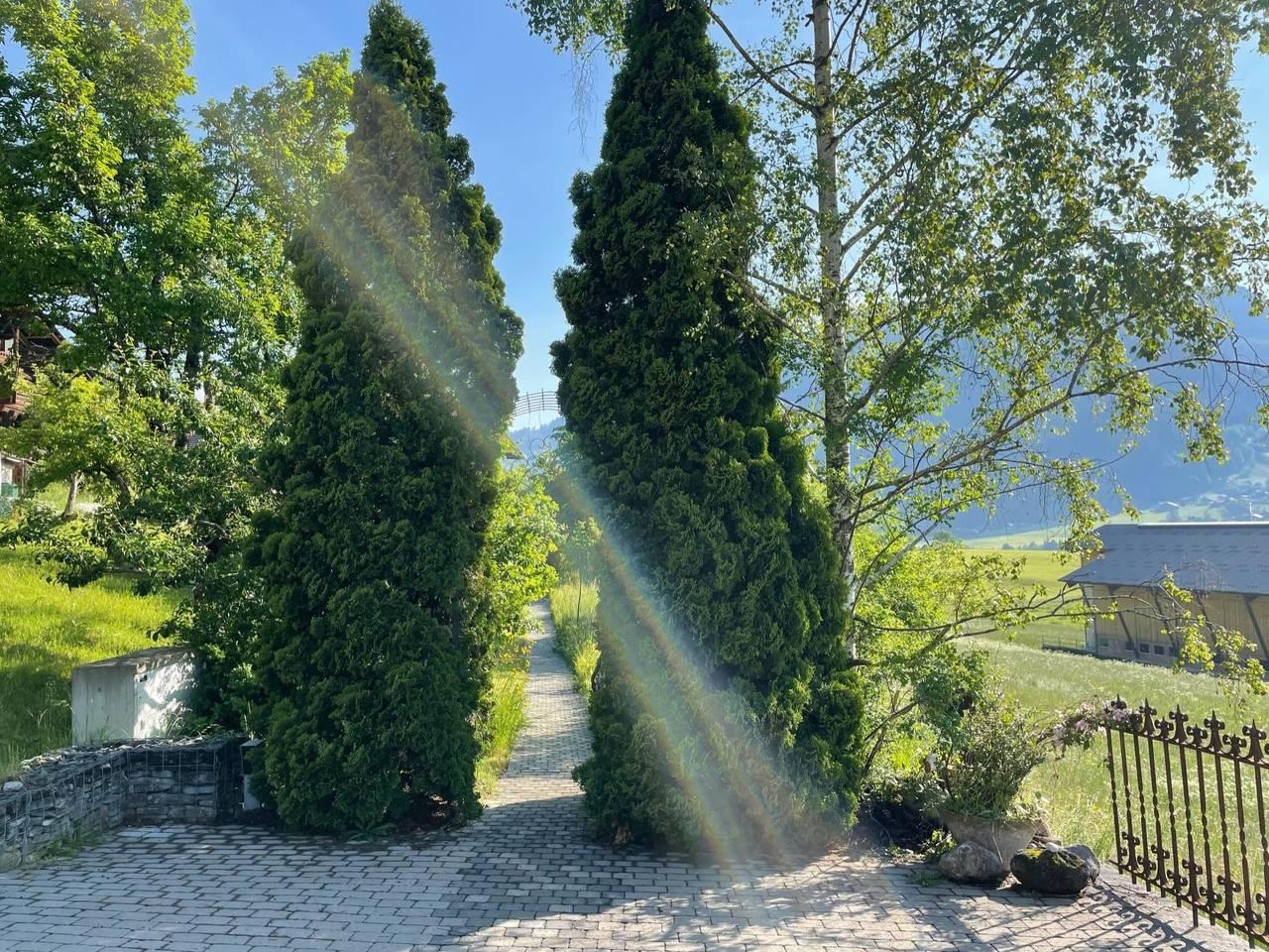 Vakantieappartement in Zweisimmen, Zwitserland voor 7 personen foto 3