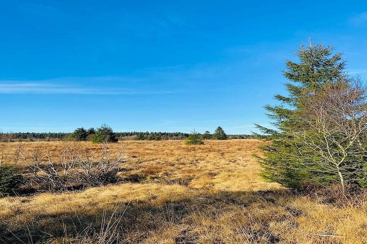 Vakantiehuisje in de Ardennen in Malmedy, Natuurgebied Hautes Fagnes, België voor 4 personen foto 24