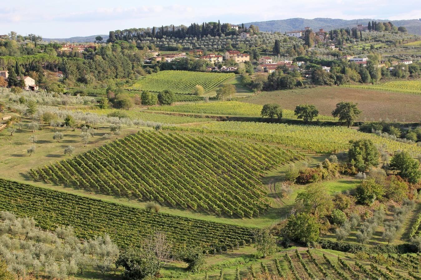 Vakantiehuis in Chianti foto 17