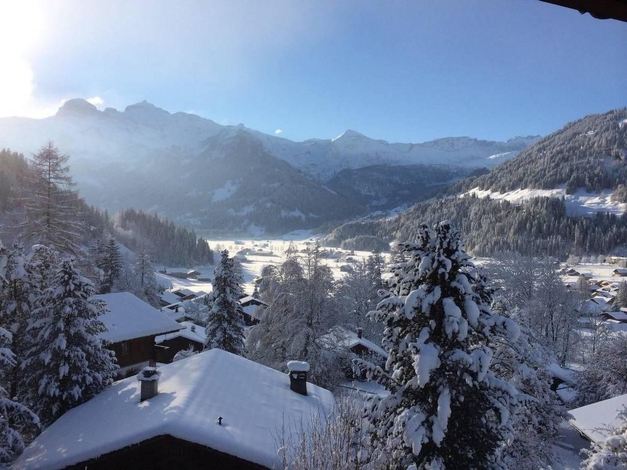 Vakantieappartement in Lenk, Zwitserland voor 8 personen foto 9