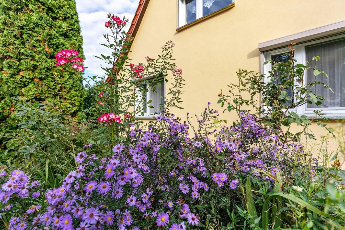 Vakantiewoning 'Im Blumengarten' met wifi, terras & tuin in Schmargendorf, Angermünde, Duitsland voor 5 personen foto 20