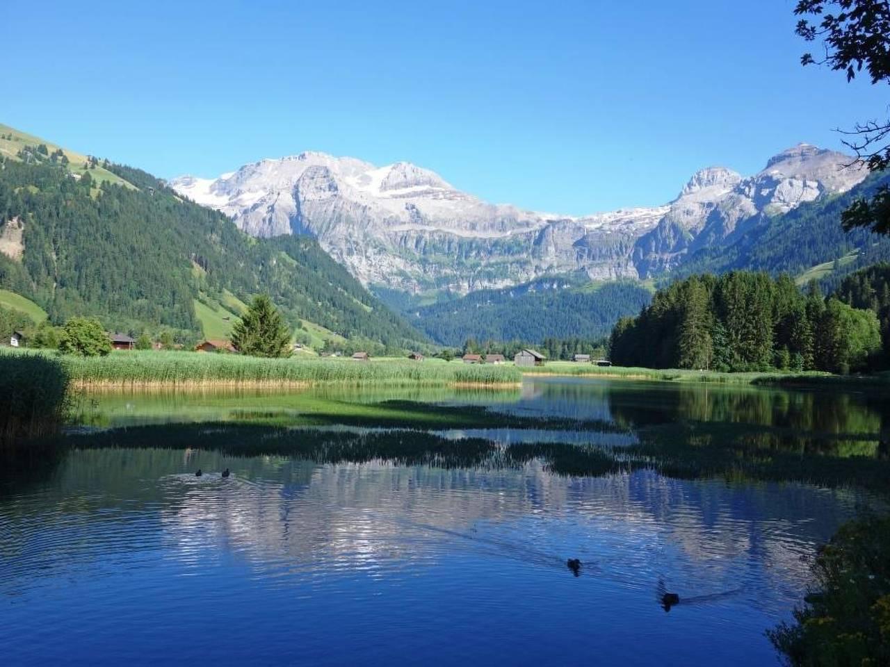 Vakantieappartement in Lenk, Zwitserland voor 6 personen foto 6