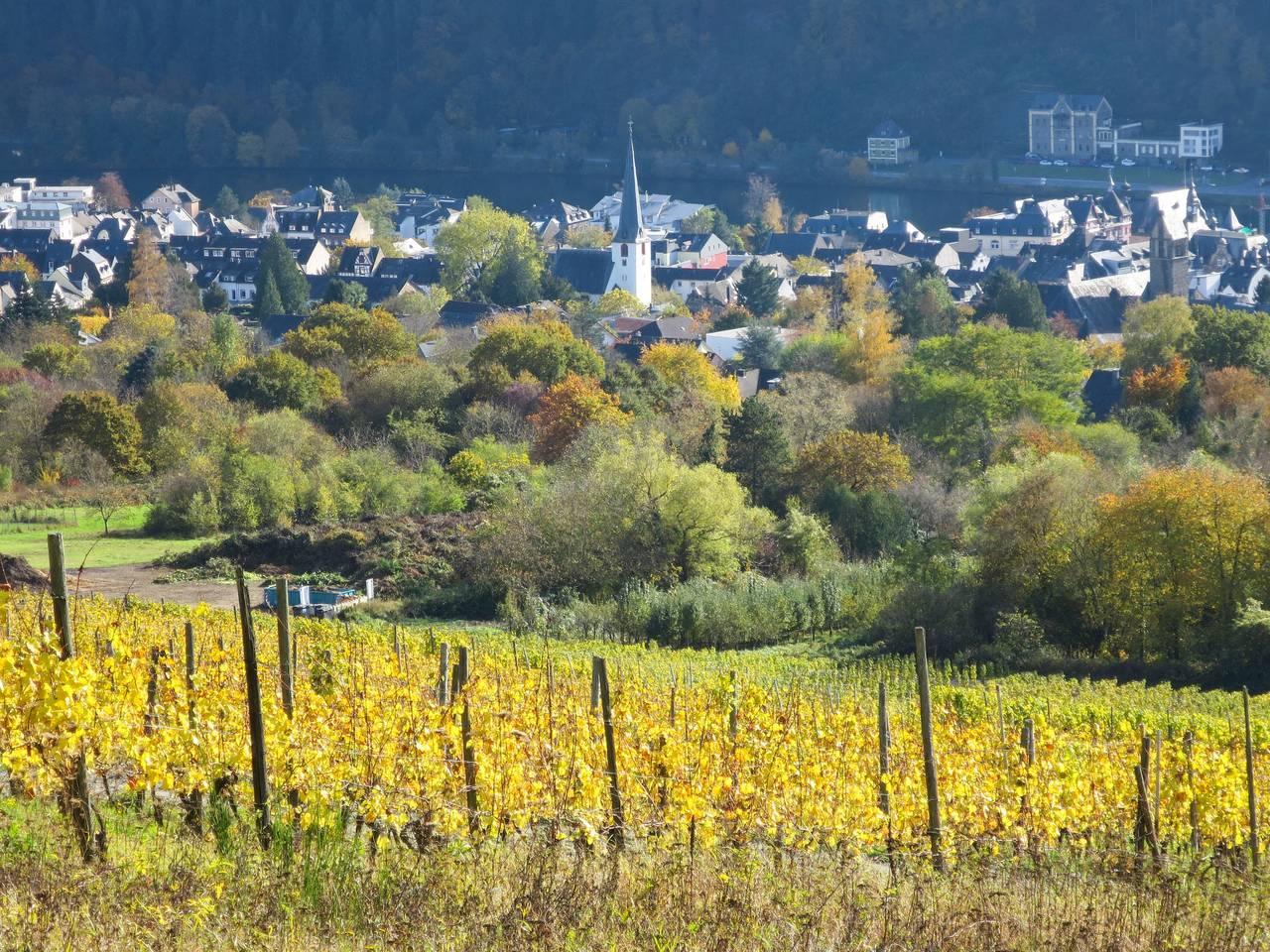 Vakantieappartement met hond toegestaan in Traben-Trarbach, Duitsland voor 2 personen foto 21