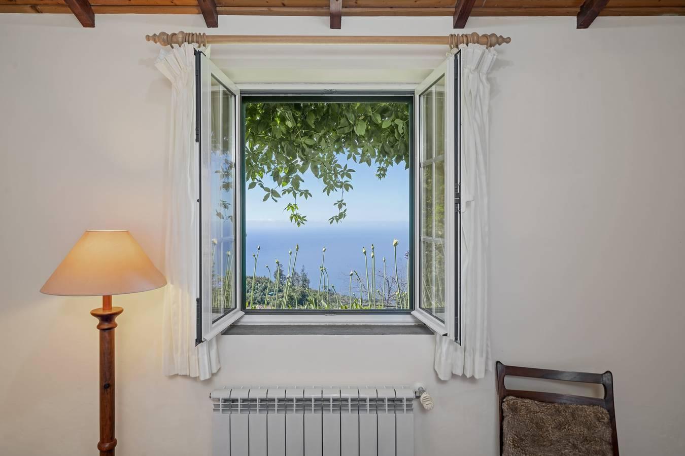 Vakantiehuis in Funchal foto 14