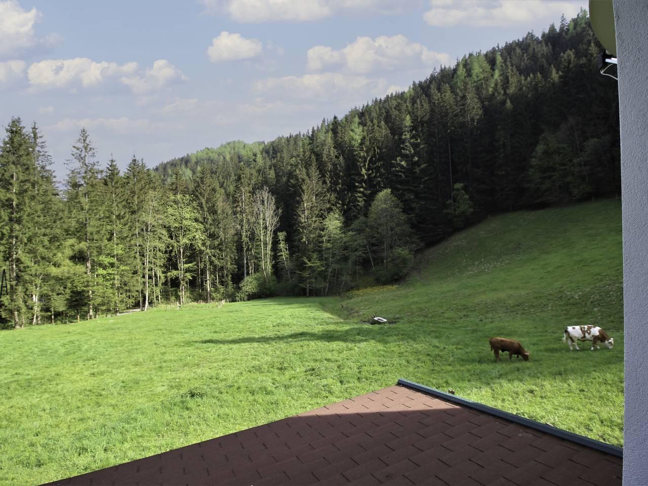 Krechen Alm in Pernegg an der Mur, Hochsteiermark, Oostenrijk voor 10 personen foto 23