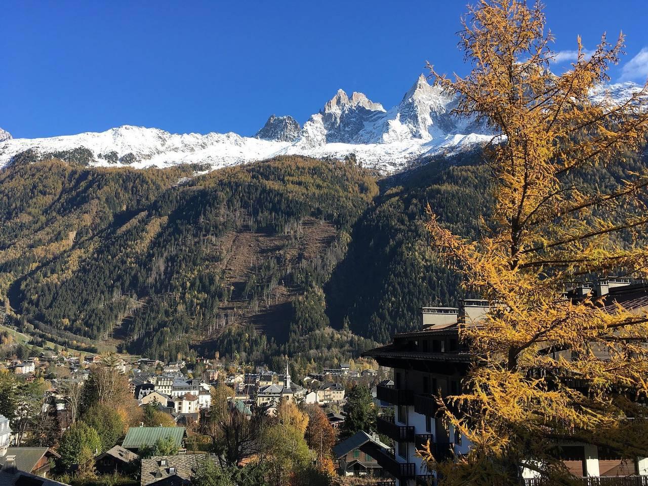 Vakantieappartement in Chamonix, Frankrijk voor 4 personen foto 14