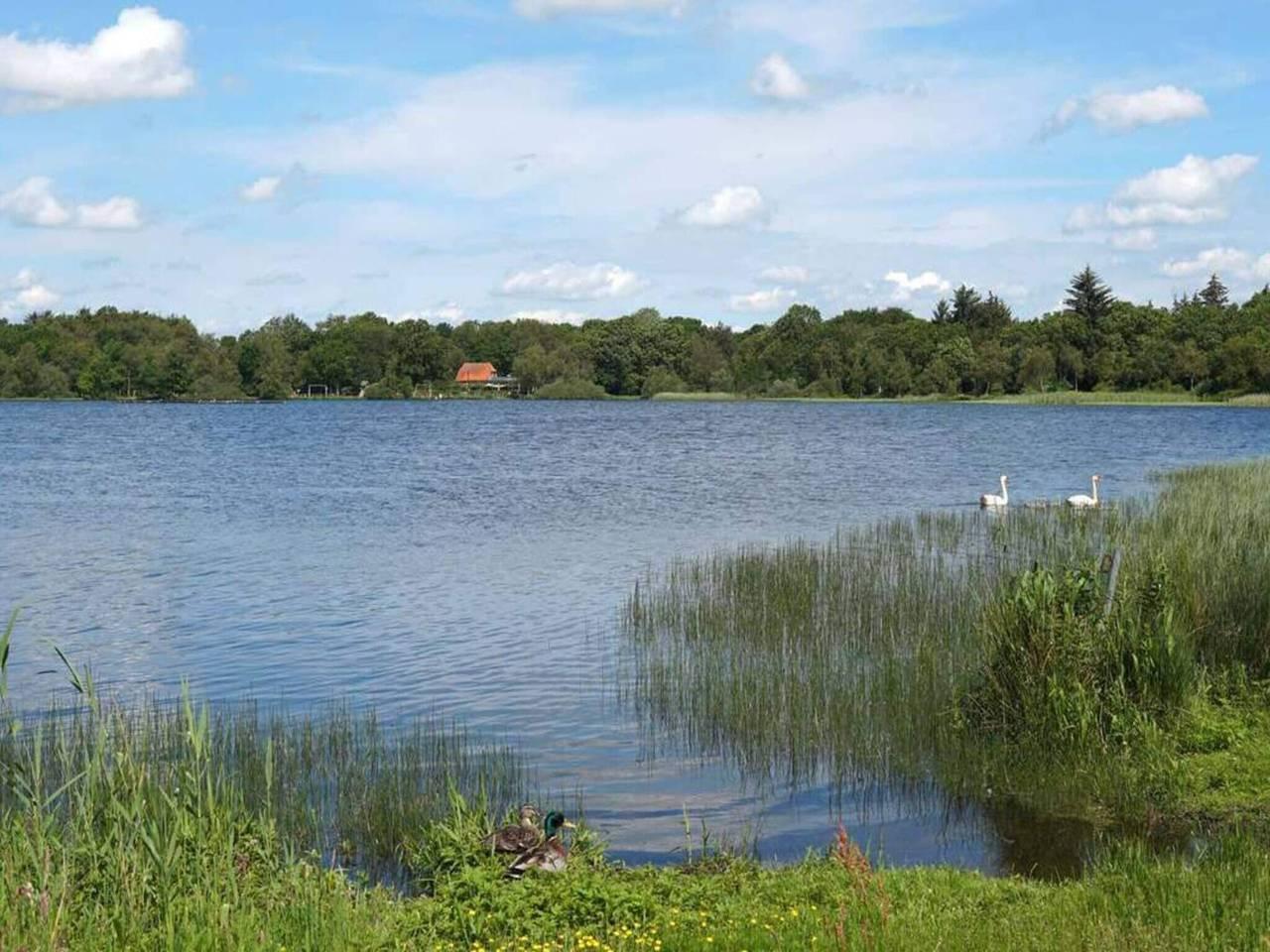Vakantiehuis in Zuid-Jutland, Denemarken voor 6 personen foto 5