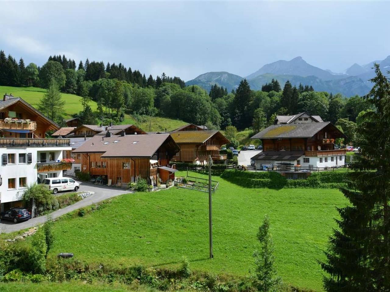Vakantieappartement in Lauenen, Zwitserland voor 4 personen foto 10