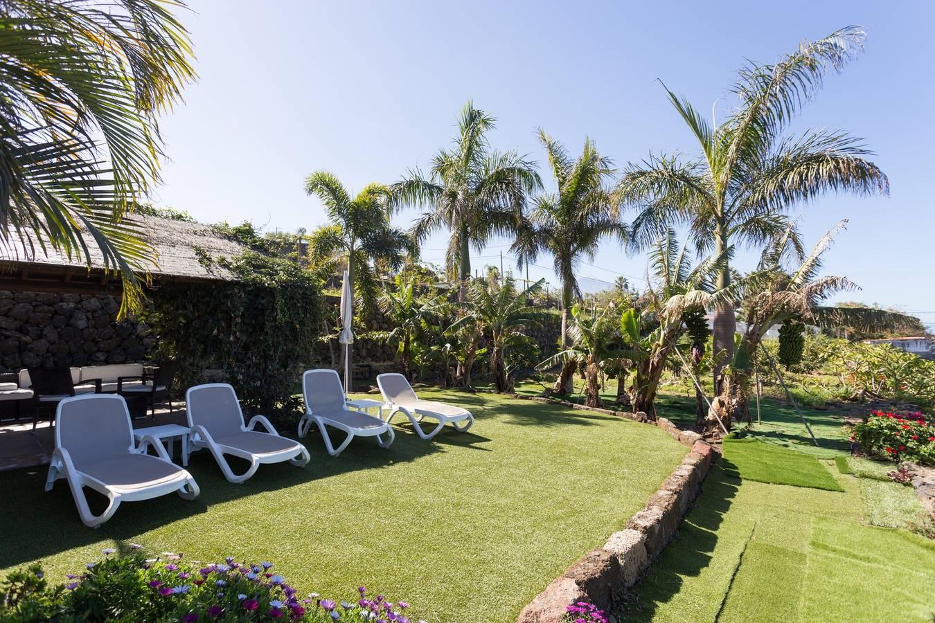 Apartamento en Tenerife jardín privado in El Caletón, La Matanza de Acentejo, Spanje voor 5 personen foto 20